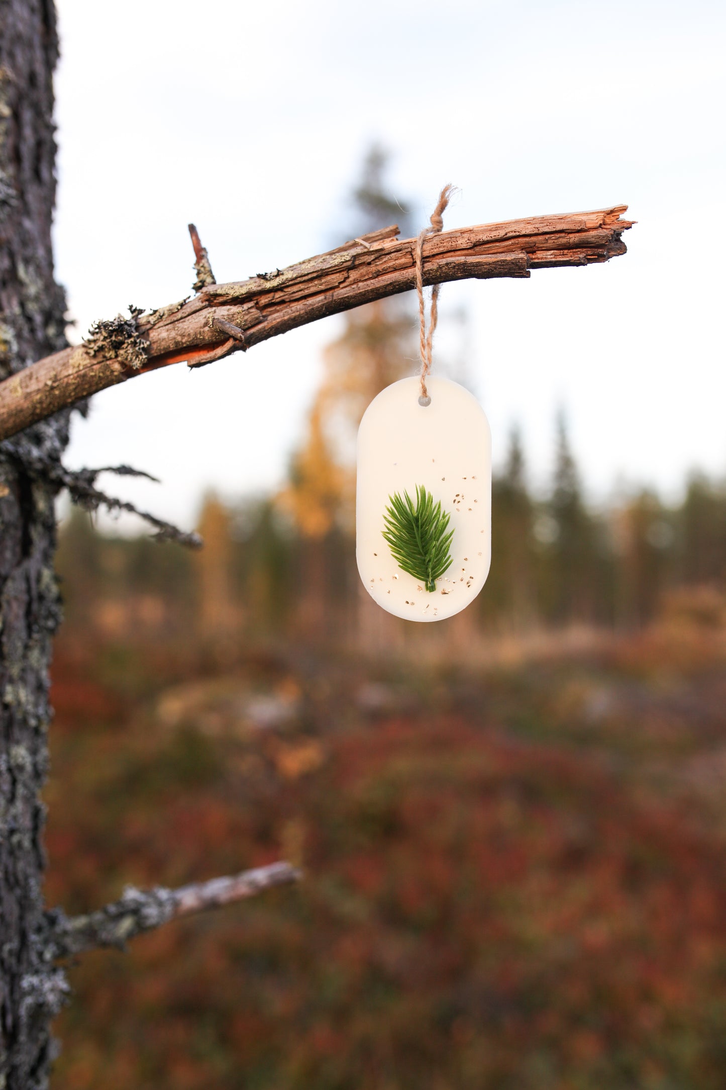 Kuusen tuoksu, kuusi, joulukuusi, kuusen tuoksuinen, huonetuoksu,