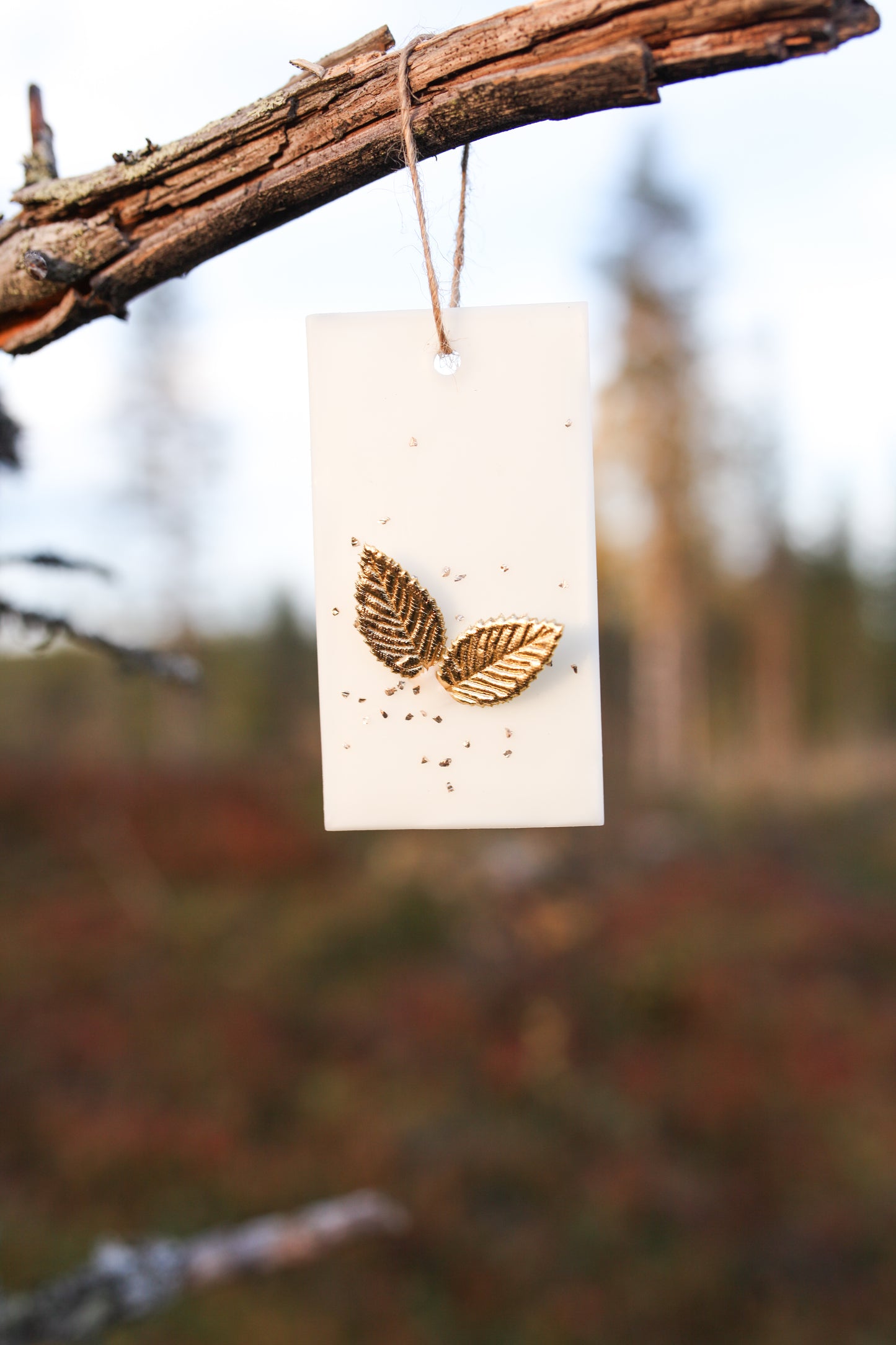 Syysaamu huonetuoksu