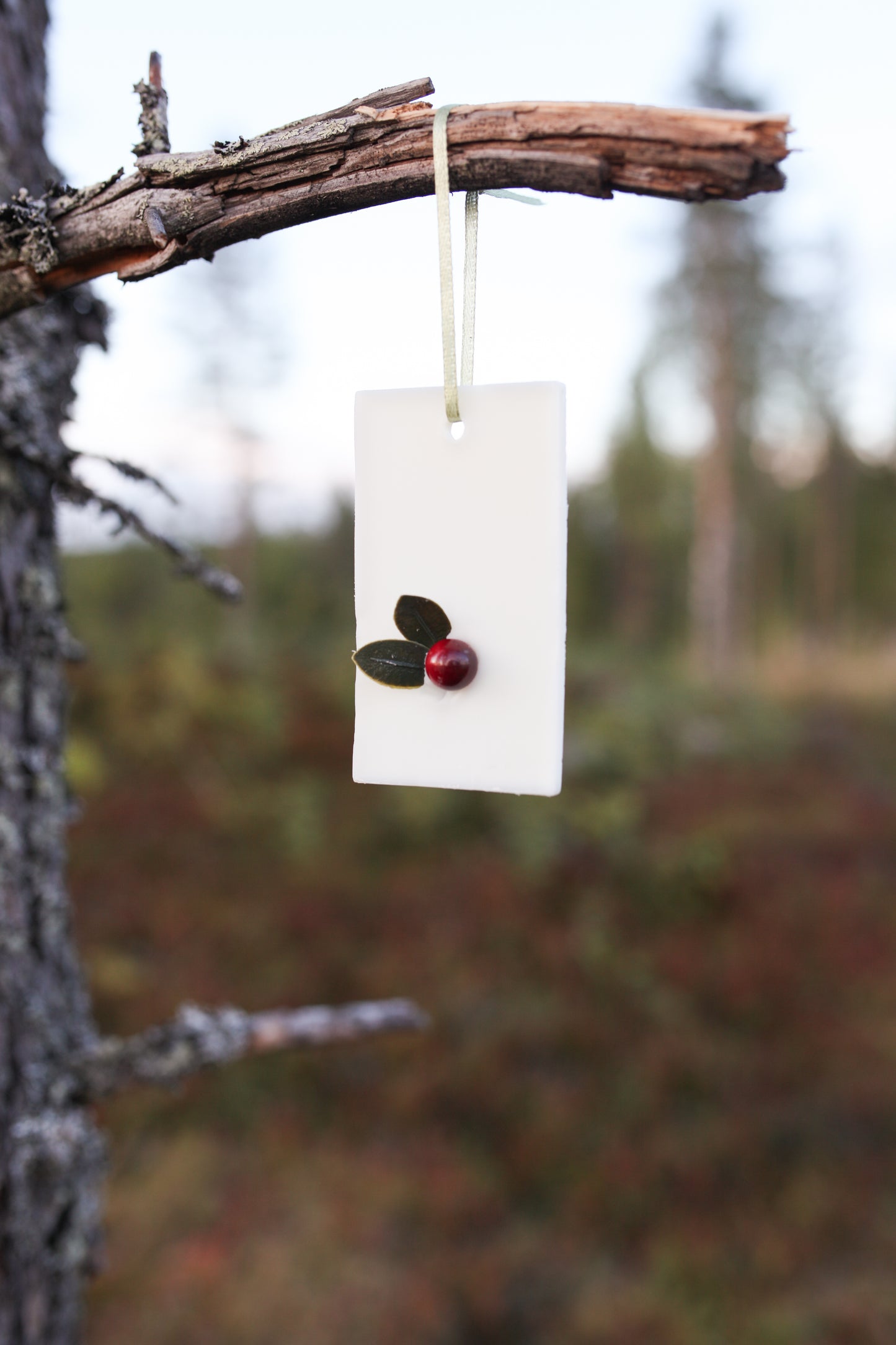 Cranberry scented bar