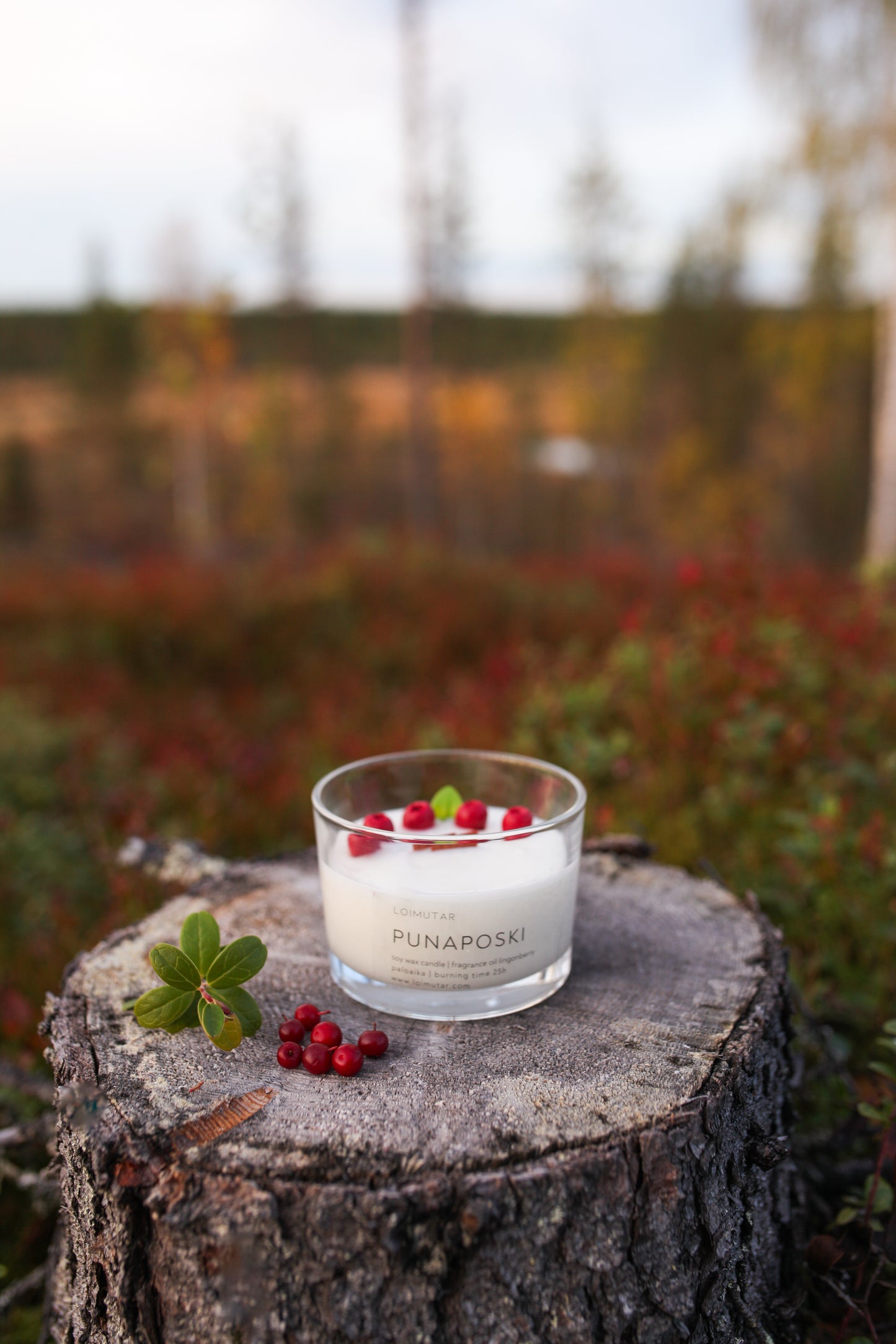 Puusydänkynttilä puolukka