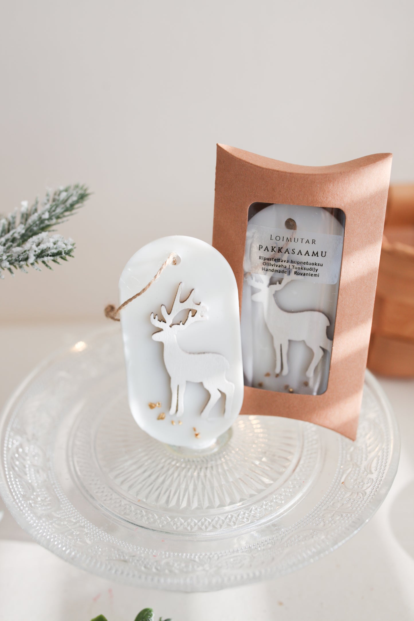 Huonetuoksu pakkasaamu