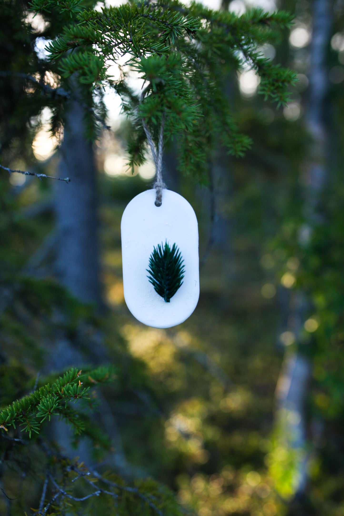 Room fragrance genuine fir