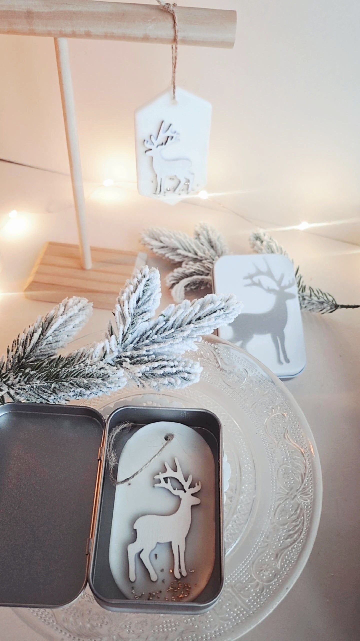 Huonetuoksun säilytysrasia