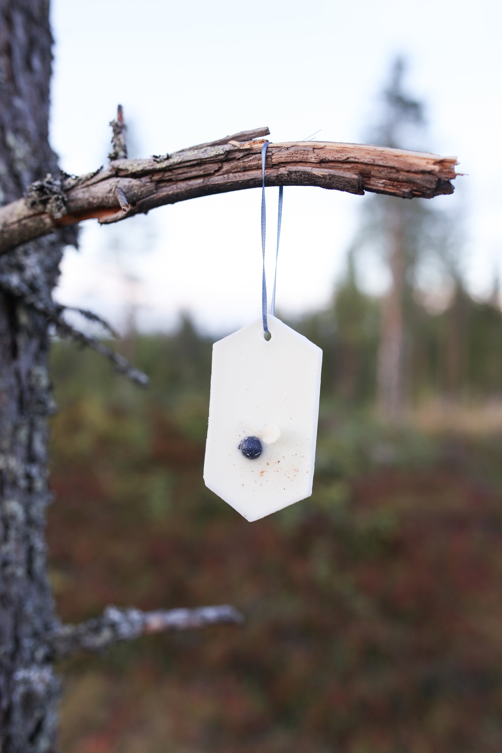 Mustikkapiiras huonetuoksu