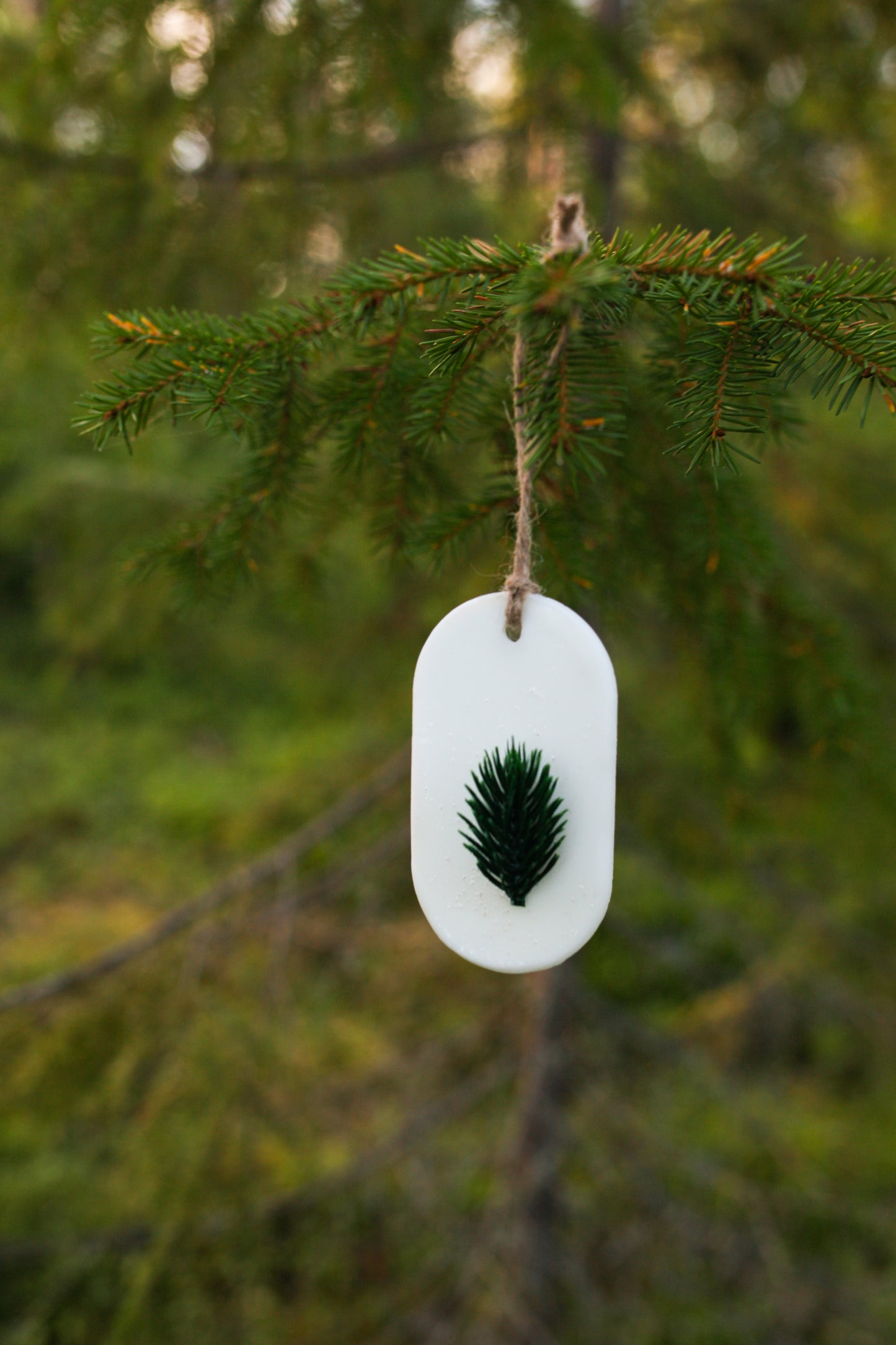 Room fragrance genuine fir