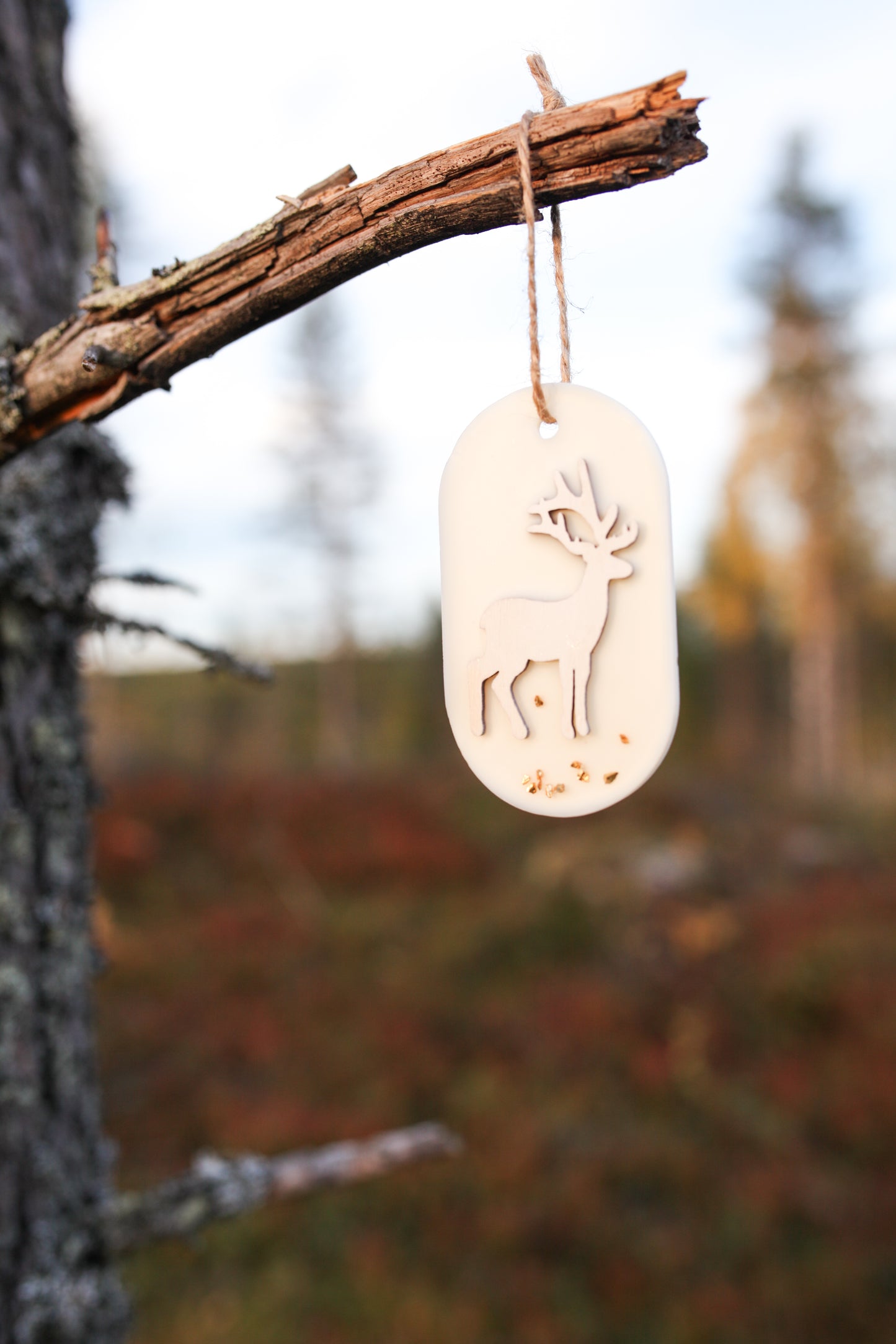 Room fragrance frosty morning