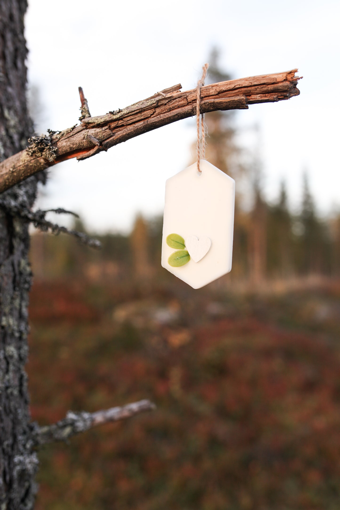 Huonetuoksu vihreä omena