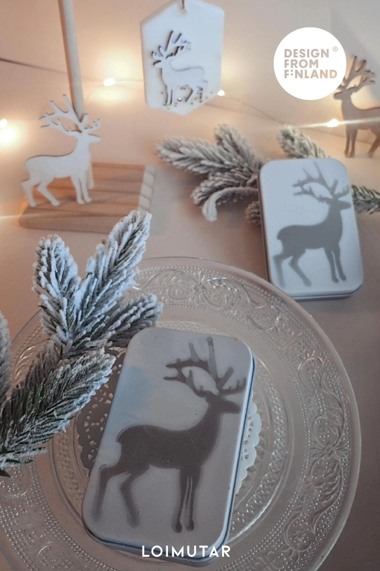 Huonetuoksun säilytysrasia